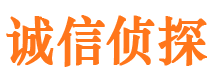 连平婚外情调查取证